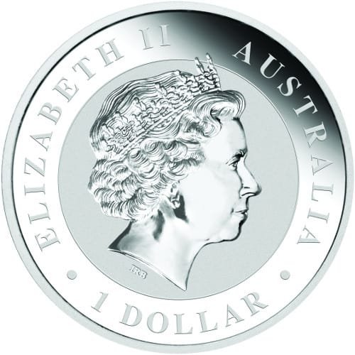 Koala Australiano 2017